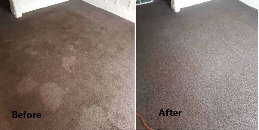 carpet cleaning 