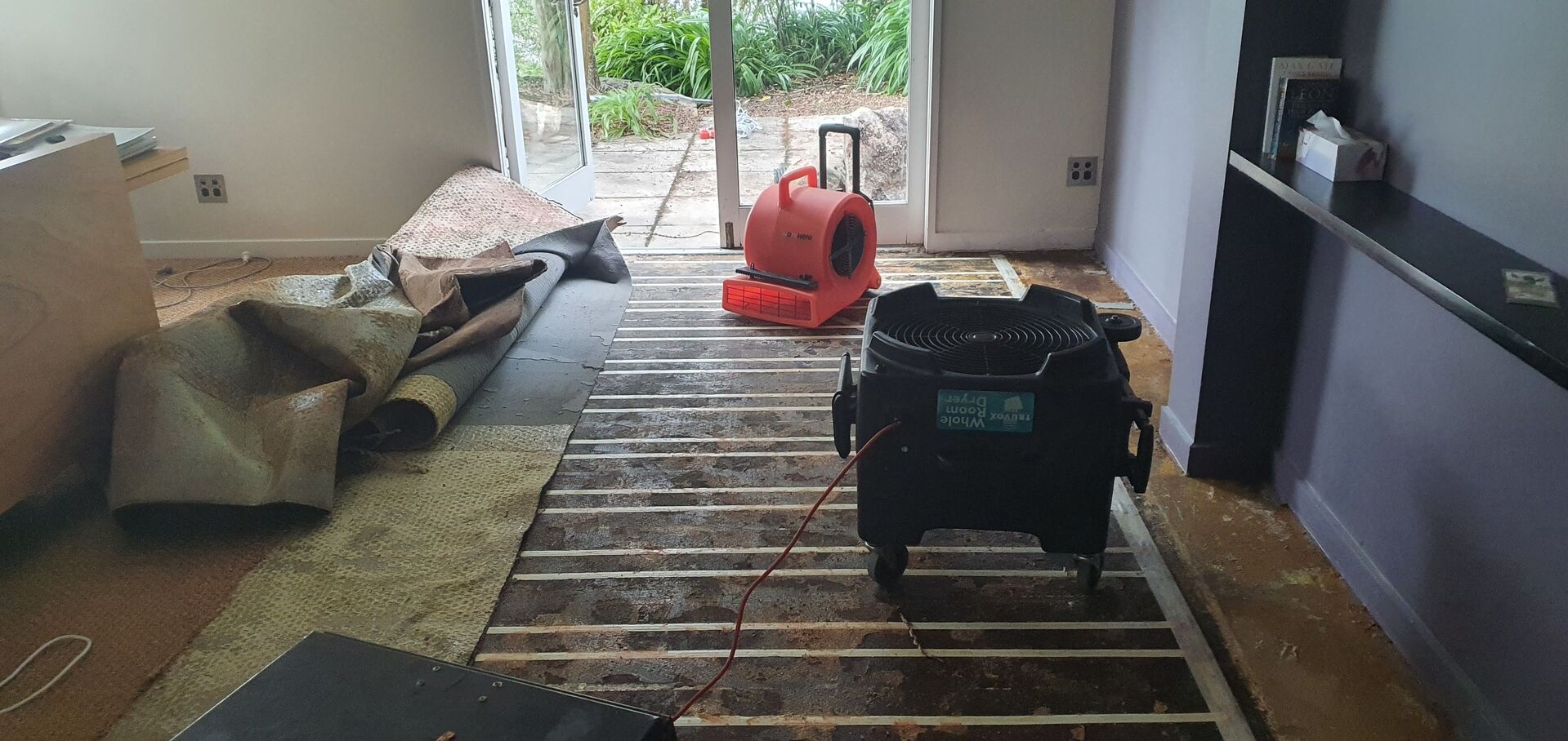 Drying Carpet