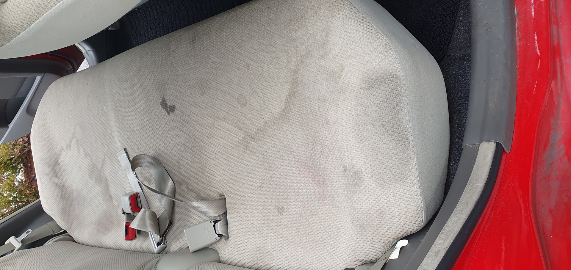 Seat cleaning